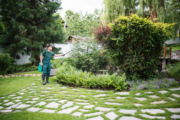 Best Pest Removal Services  in Lindenhurst, NY