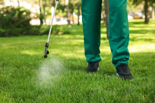 Trusted Lindenhurst, NY Pest Control Experts