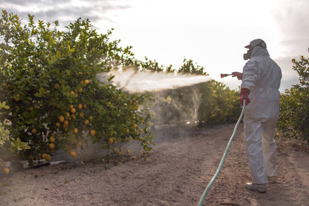 Best Cockroach Control Services  in Lindenhurst, NY