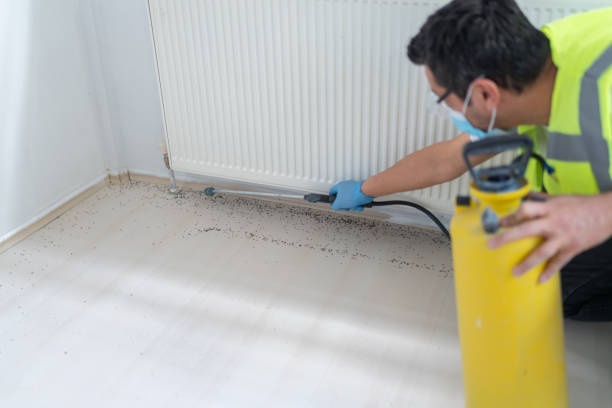 Best Affordable Pest Control Services  in Lindenhurst, NY